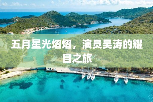 五月星光熠熠，演员吴涛的耀目之旅