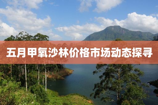 五月甲氧沙林价格市场动态探寻
