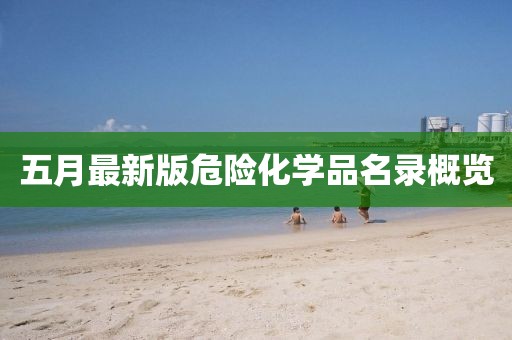 五月最新版危险化学品名录概览