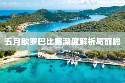 五月欧罗巴比赛深度解析与前瞻