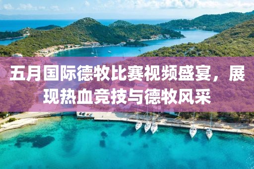 五月国际德牧比赛视频盛宴，展现热血竞技与德牧风采
