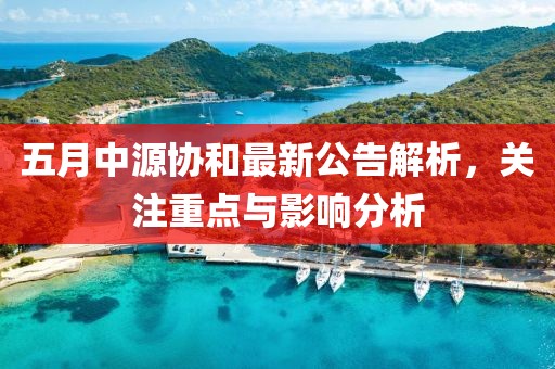 五月中源协和最新公告解析，关注重点与影响分析