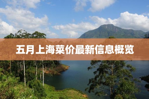 五月上海菜价最新信息概览