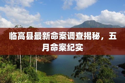 临高县最新命案调查揭秘，五月命案纪实