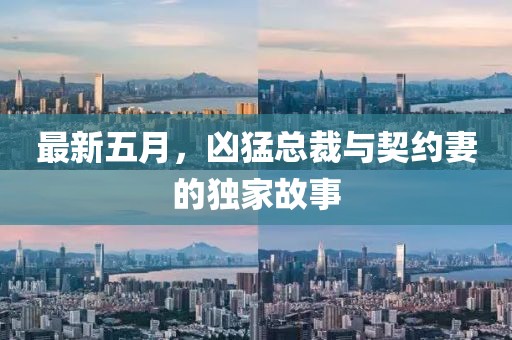 最新五月，凶猛总裁与契约妻的独家故事