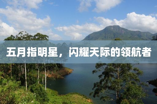 五月指明星，闪耀天际的领航者
