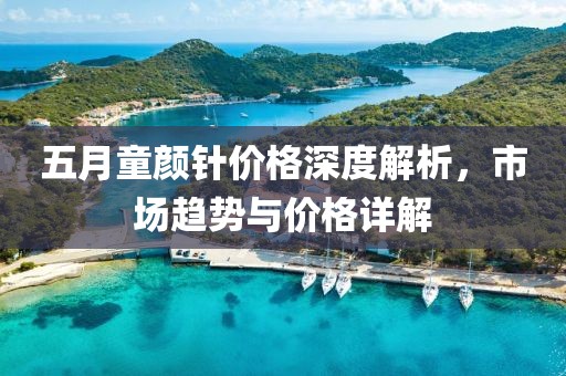 五月童颜针价格深度解析，市场趋势与价格详解