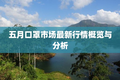 五月口罩市场最新行情概览与分析