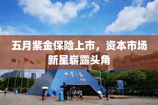 五月紫金保险上市，资本市场新星崭露头角