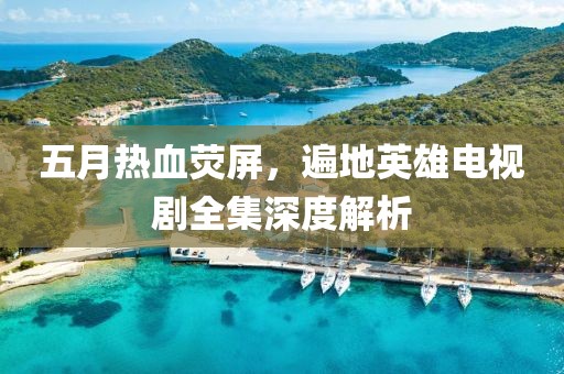 五月热血荧屏，遍地英雄电视剧全集深度解析