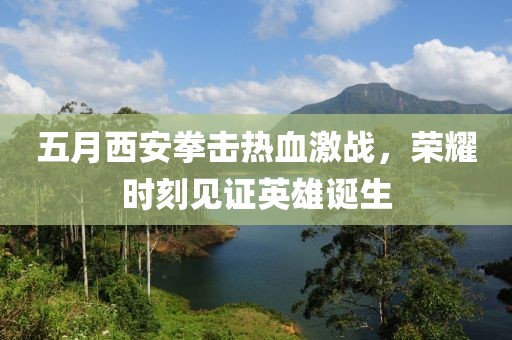 五月西安拳击热血激战，荣耀时刻见证英雄诞生