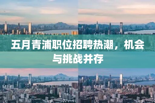 五月青浦职位招聘热潮，机会与挑战并存