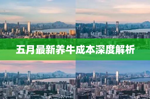 五月最新养牛成本深度解析