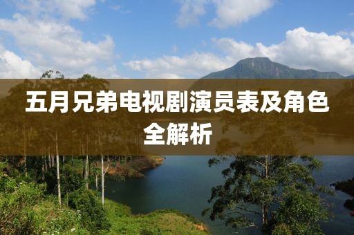 五月兄弟电视剧演员表及角色全解析