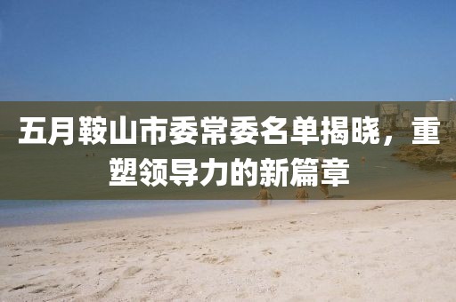 五月鞍山市委常委名单揭晓，重塑领导力的新篇章
