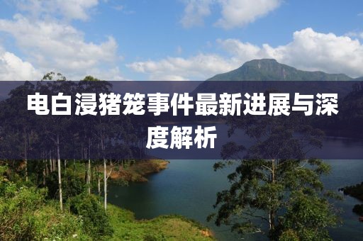 电白浸猪笼事件最新进展与深度解析
