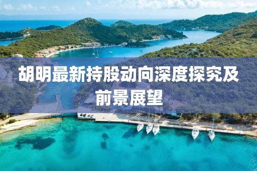 胡明最新持股动向深度探究及前景展望