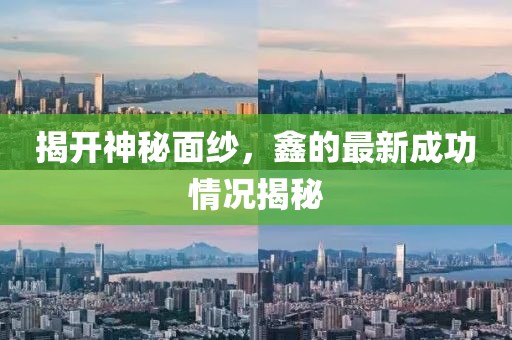 揭开神秘面纱，鑫的最新成功情况揭秘