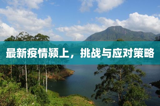 最新疫情颍上，挑战与应对策略