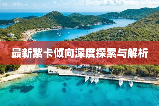 最新紫卡倾向深度探索与解析