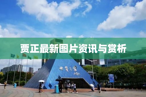 贾正最新图片资讯与赏析