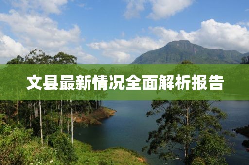文县最新情况全面解析报告