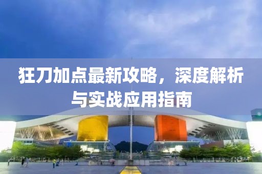 狂刀加点最新攻略，深度解析与实战应用指南