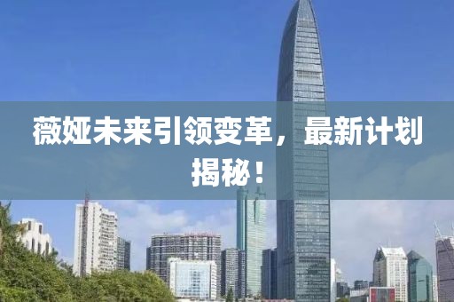 薇娅未来引领变革，最新计划揭秘！