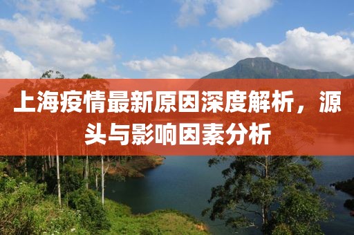 上海疫情最新原因深度解析，源头与影响因素分析