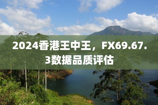 2024香港王中王，FX69.67.3数据品质评估
