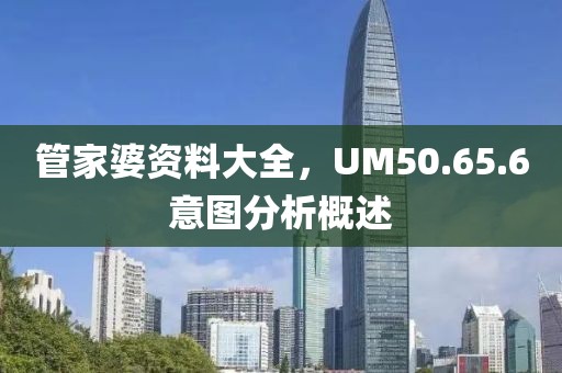 管家婆资料大全，UM50.65.6意图分析概述