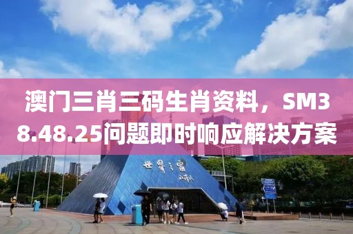 澳门三肖三码生肖资料，SM38.48.25问题即时响应解决方案