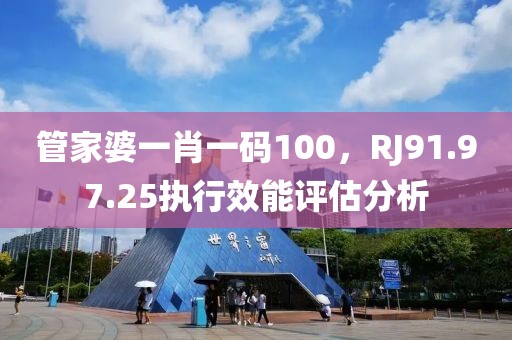 管家婆一肖一码100，RJ91.97.25执行效能评估分析