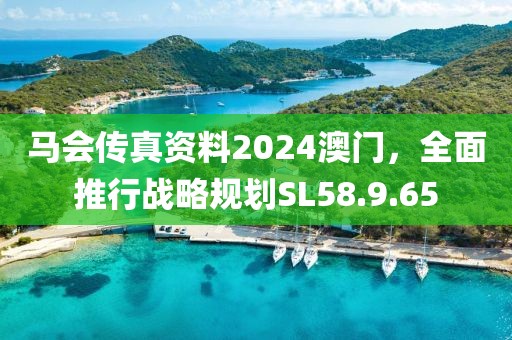 马会传真资料2024澳门，全面推行战略规划SL58.9.65