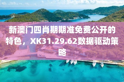 新澳门四肖期期准免费公开的特色，XK31.29.62数据驱动策略