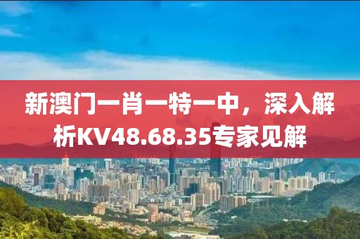 新澳门一肖一特一中，深入解析KV48.68.35专家见解