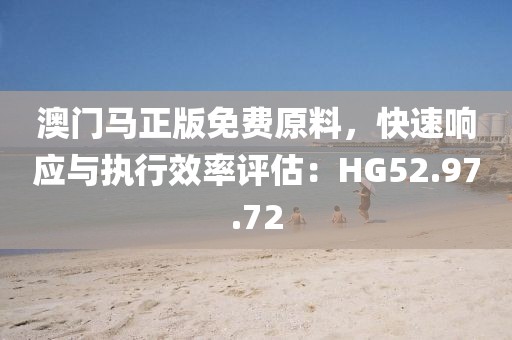 澳门马正版免费原料，快速响应与执行效率评估：HG52.97.72