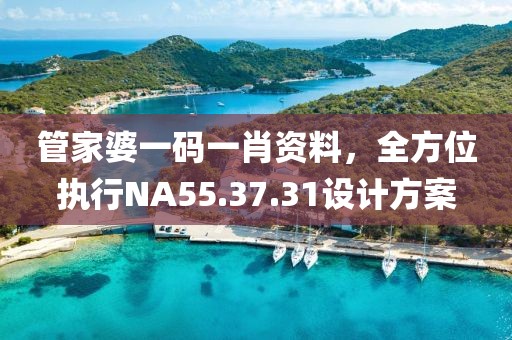 管家婆一码一肖资料，全方位执行NA55.37.31设计方案
