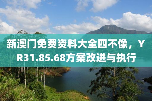 新澳门免费资料大全四不像，YR31.85.68方案改进与执行