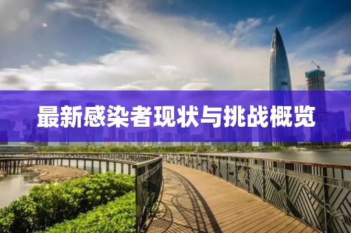最新感染者现状与挑战概览