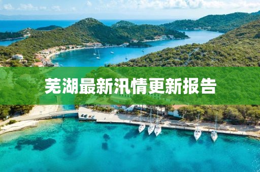 芜湖最新汛情更新报告