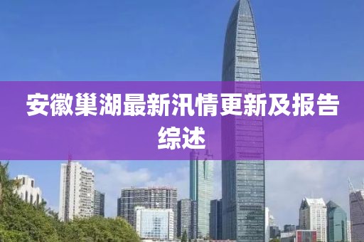 安徽巢湖最新汛情更新及报告综述