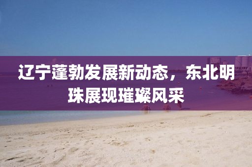 辽宁蓬勃发展新动态，东北明珠展现璀璨风采