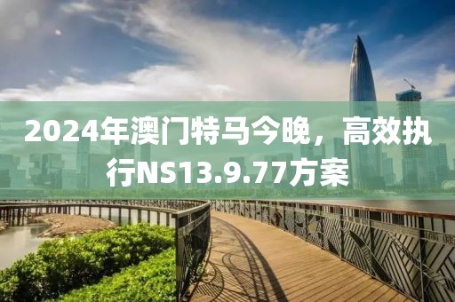 2024年澳门特马今晚，高效执行NS13.9.77方案
