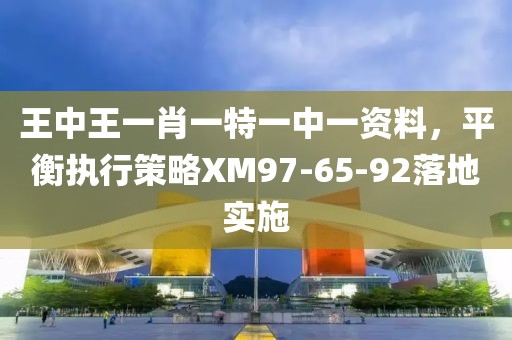 王中王一肖一特一中一资料，平衡执行策略XM97-65-92落地实施