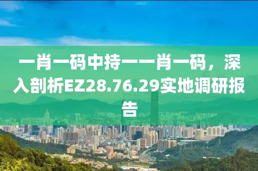 一肖一码中持一一肖一码，深入剖析EZ28.76.29实地调研报告