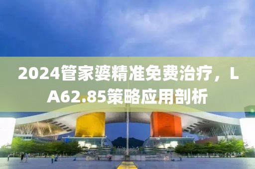 2024管家婆精准免费治疗，LA62.85策略应用剖析