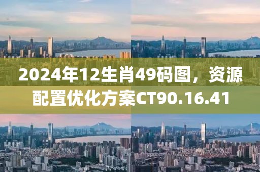 2024年12生肖49码图，资源配置优化方案CT90.16.41