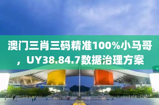澳门三肖三码精准100%小马哥，UY38.84.7数据治理方案