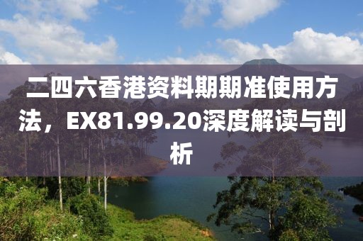 二四六香港资料期期准使用方法，EX81.99.20深度解读与剖析